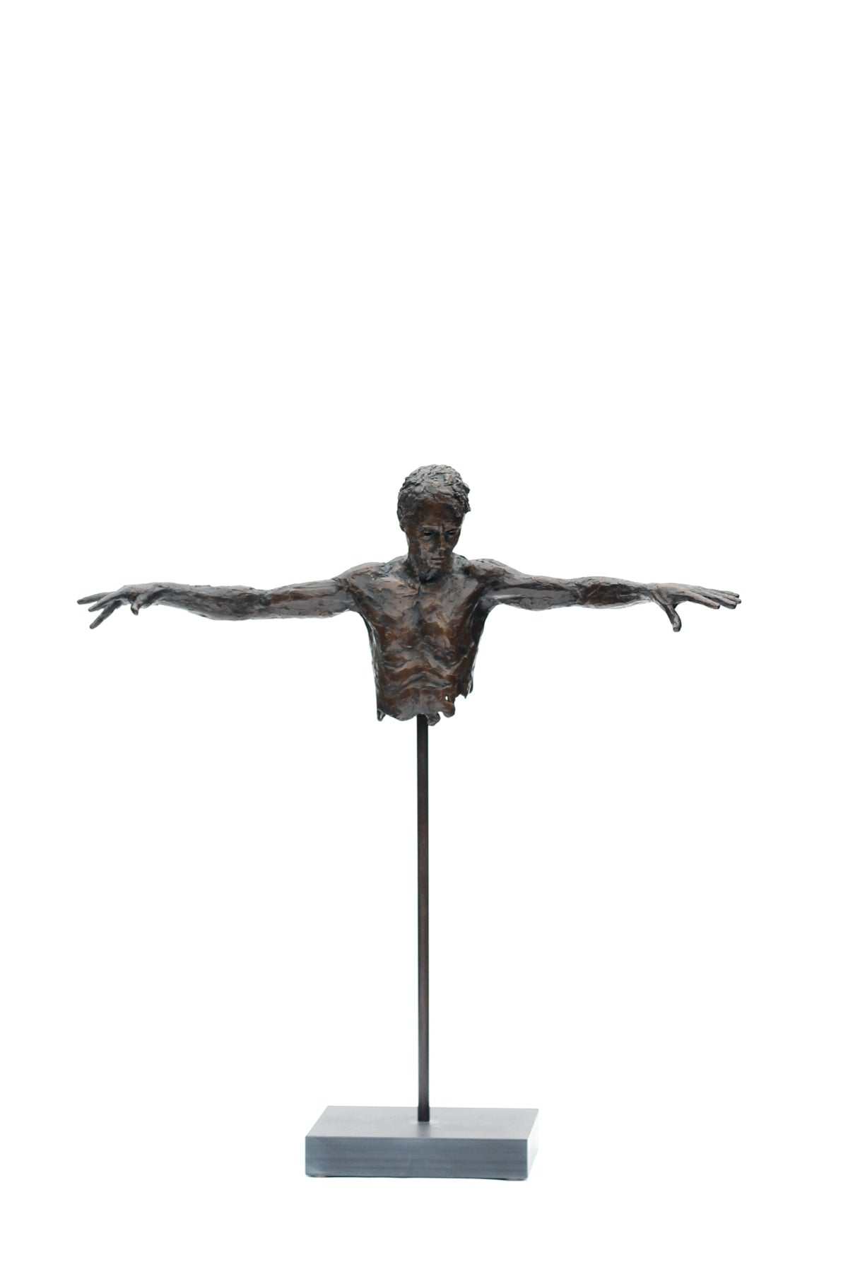Ian Wolter - David Torso