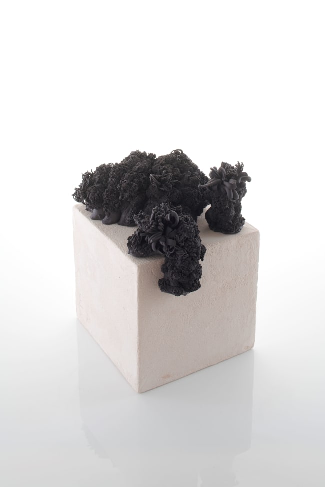 Annabel Wightman - Coral VI