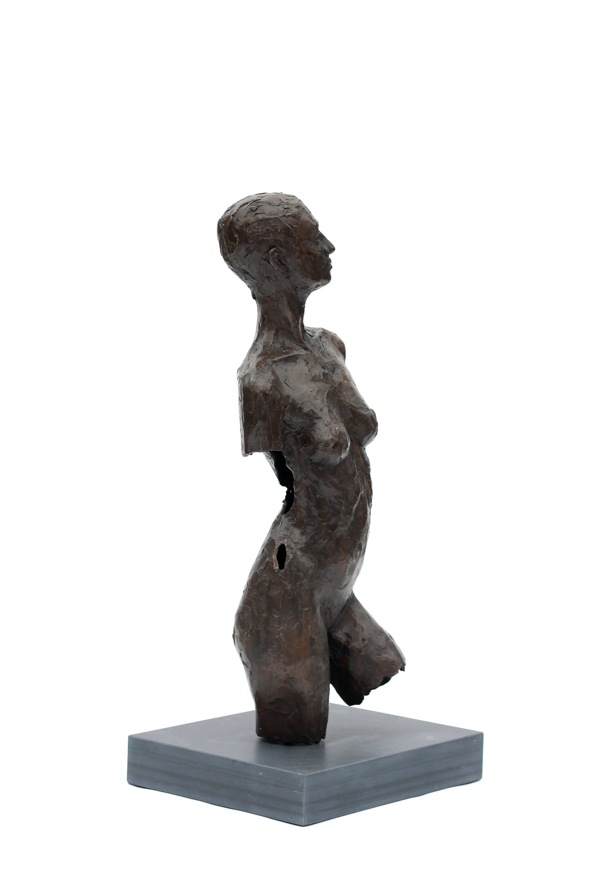 Ian Wolter - Charlotte Torso