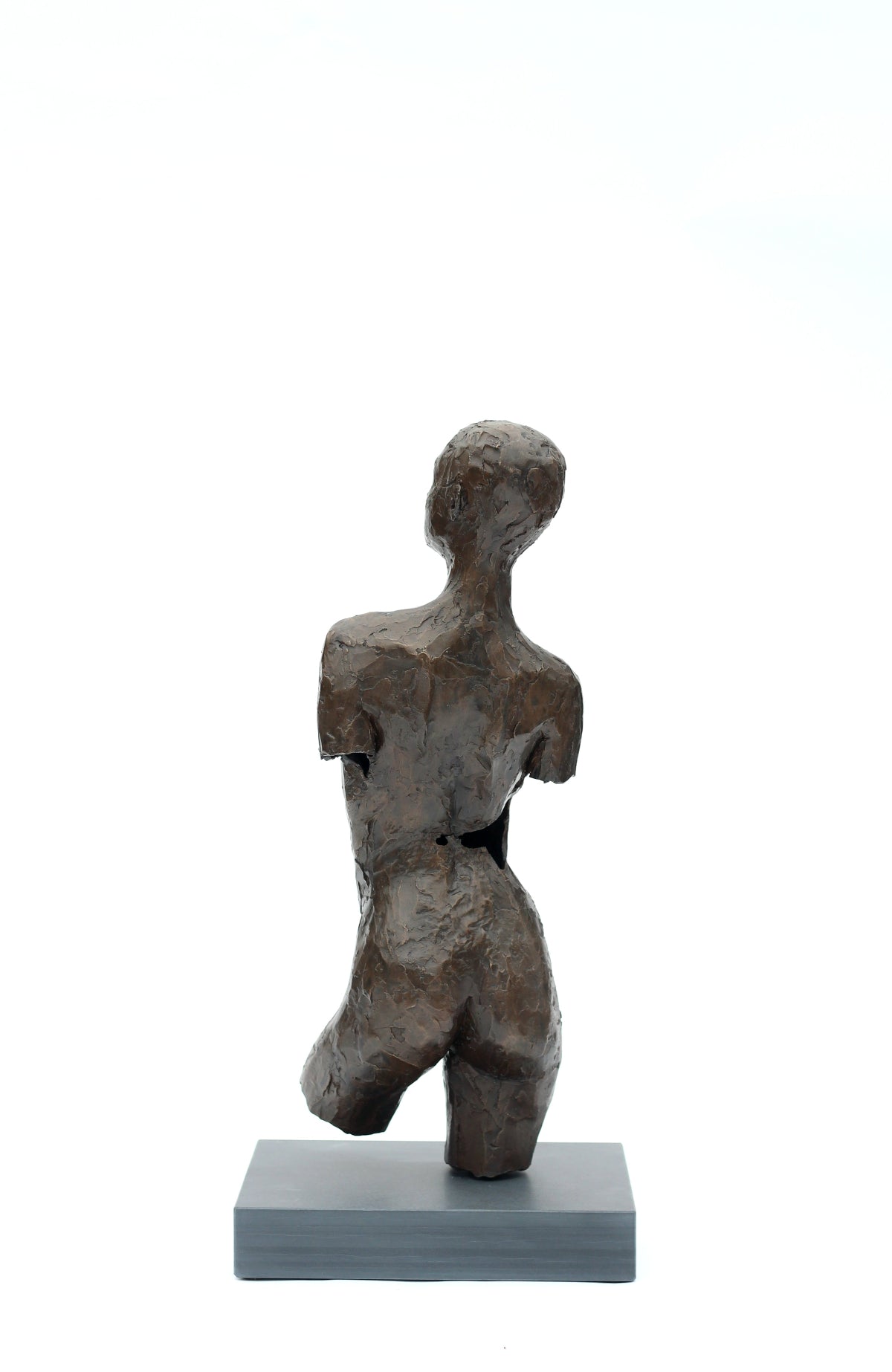 Ian Wolter - Charlotte Torso