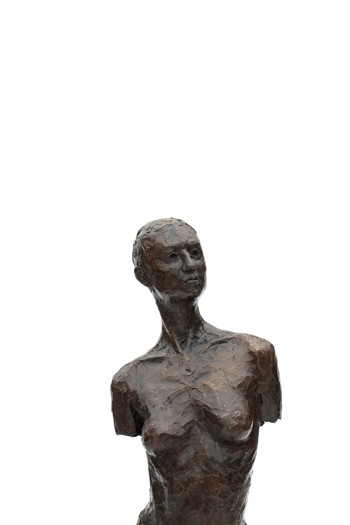 Ian Wolter - Charlotte Torso