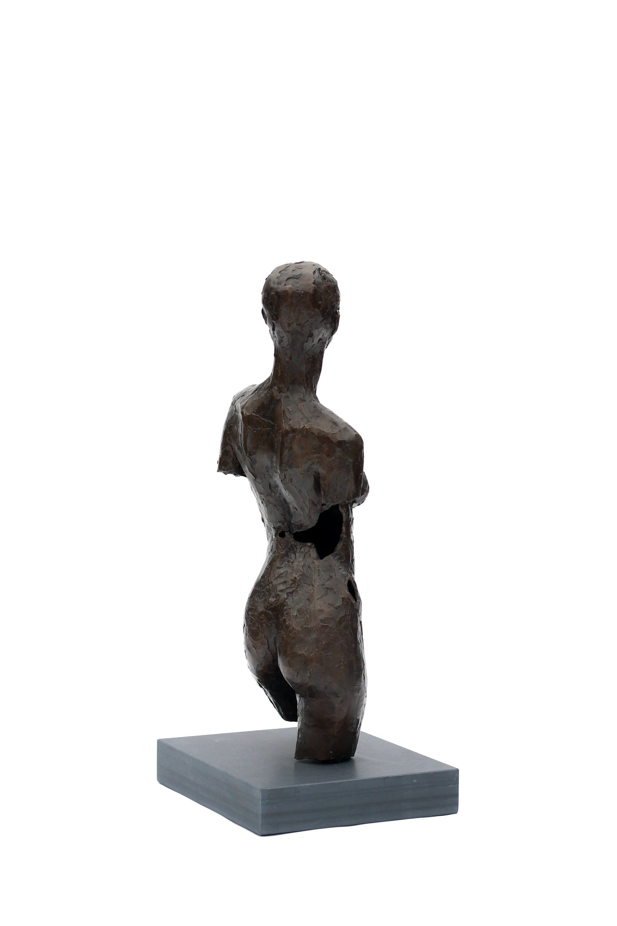 Ian Wolter - Charlotte Torso