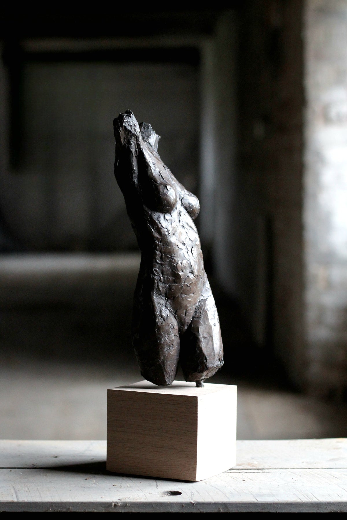 Ian Wolter - Female Torso