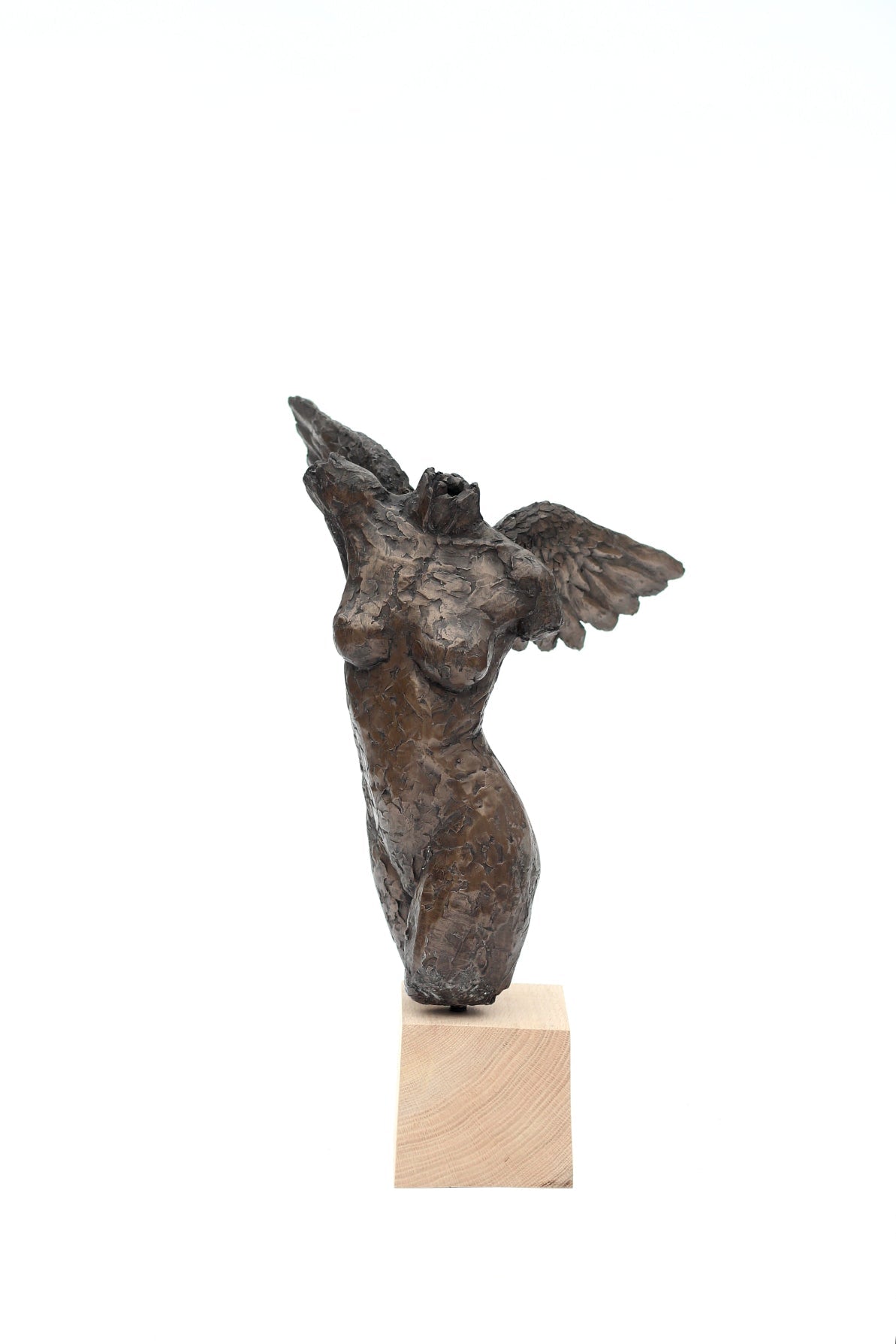 Ian Wolter - Female Torso with Wings