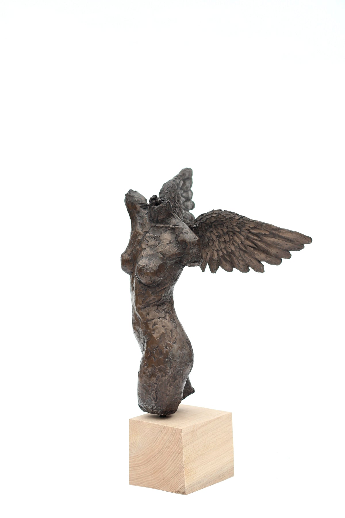 Ian Wolter - Female Torso with Wings