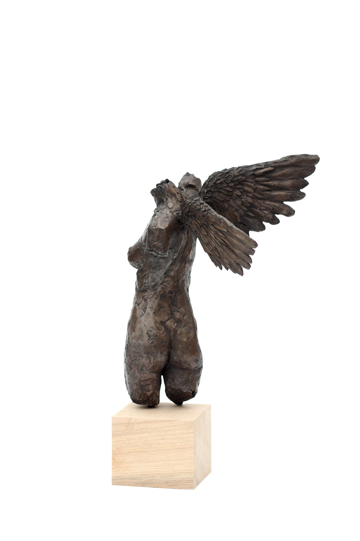 Ian Wolter - Female Torso with Wings