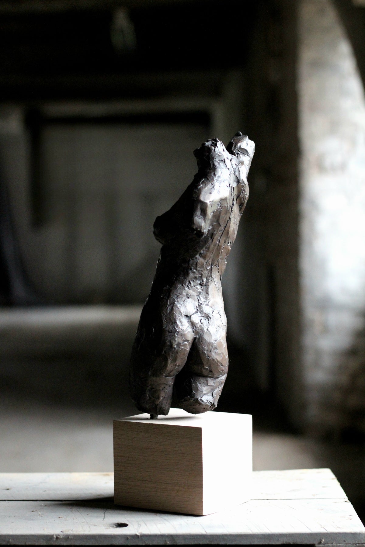 Ian Wolter - Female Torso