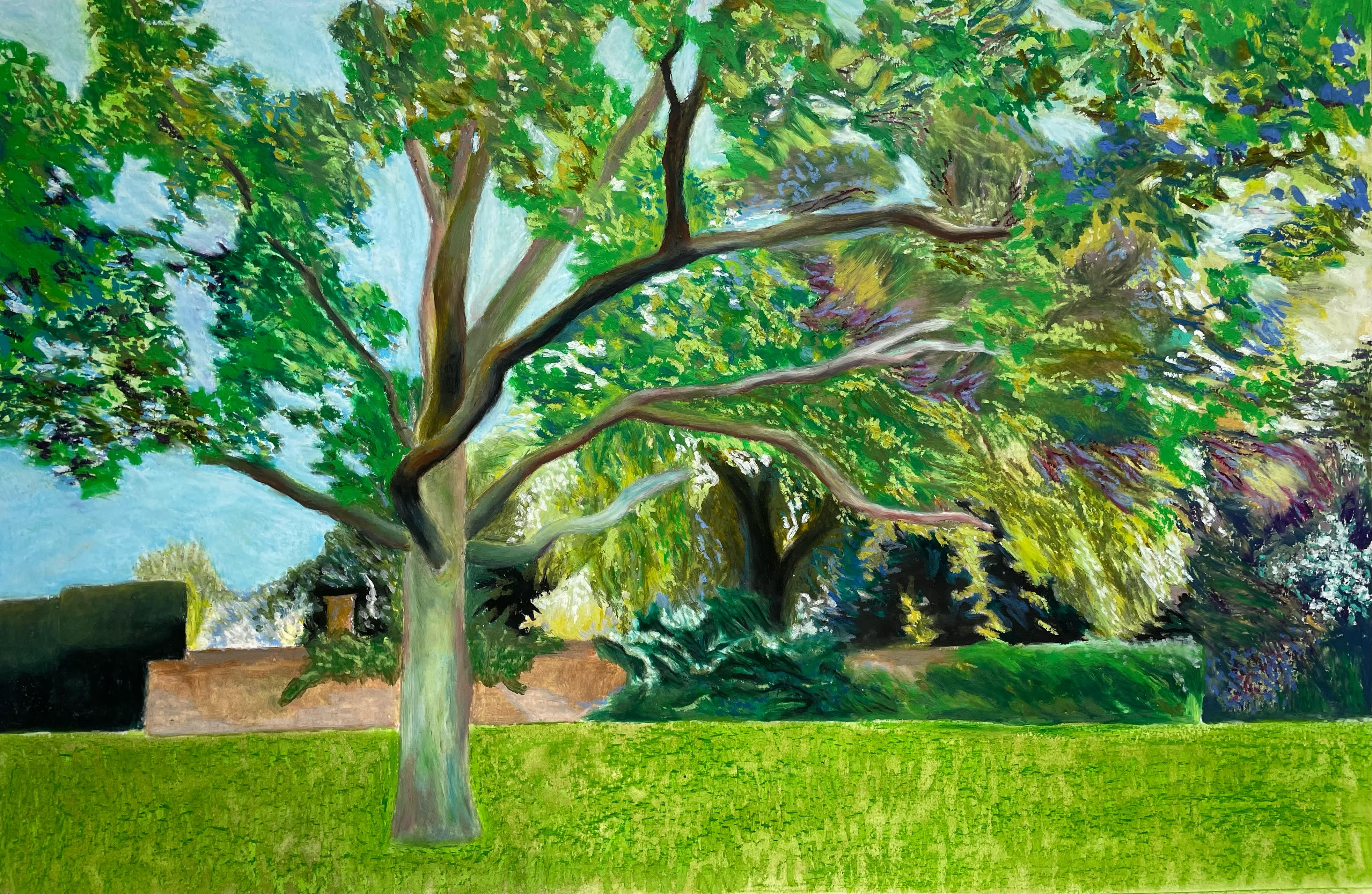 Rosie Lascelles - English Oak