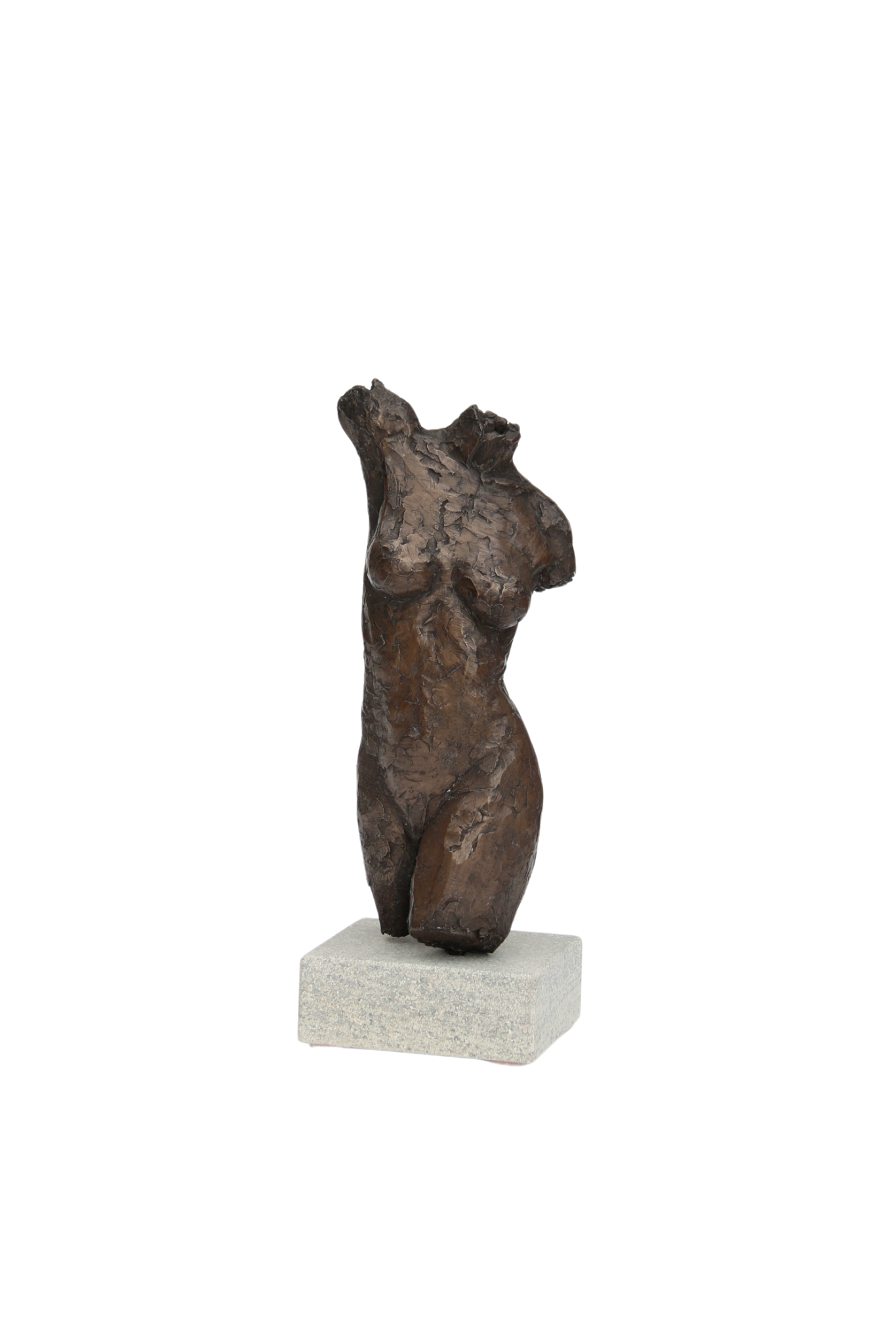 Ian Wolter - Female Torso