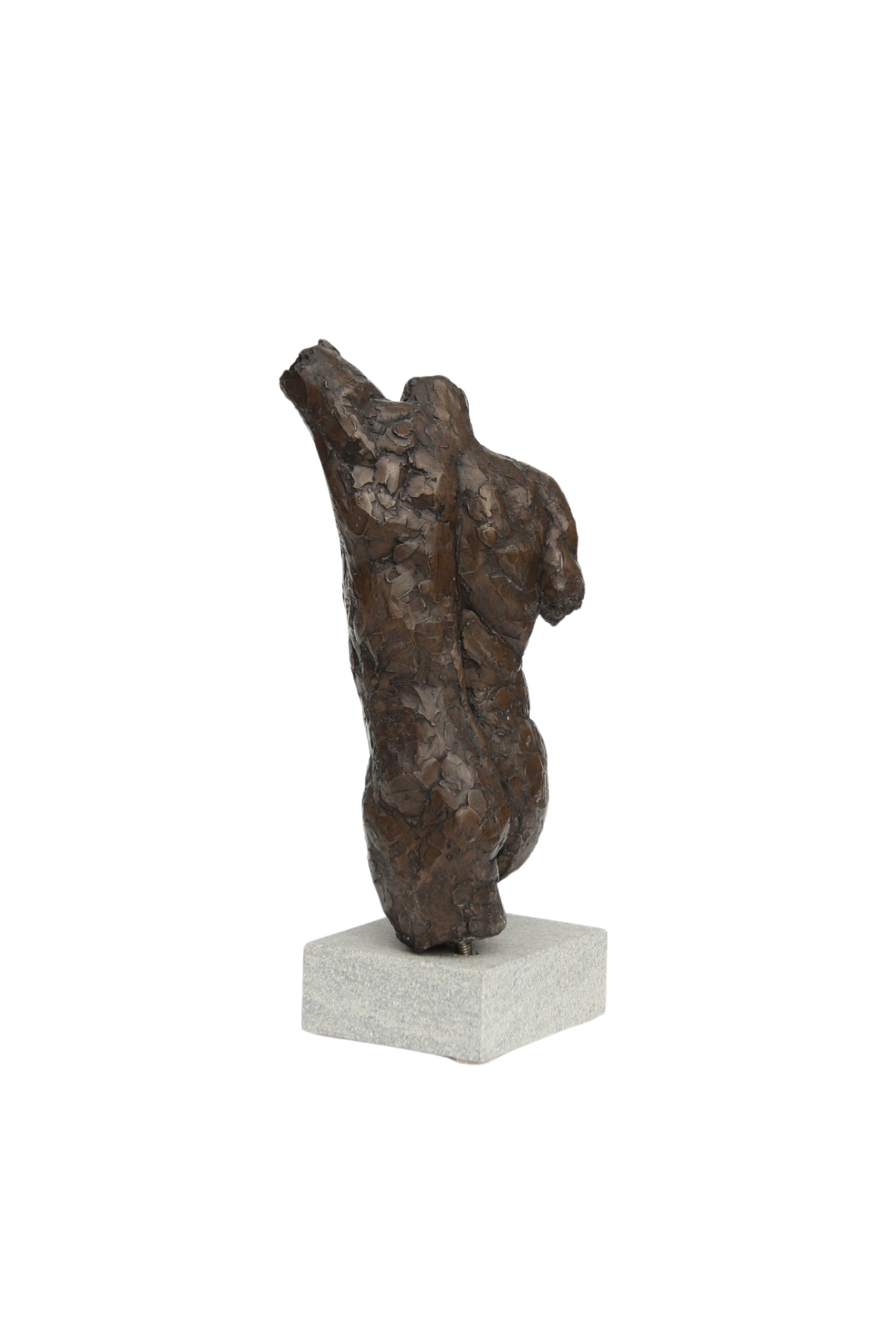 Ian Wolter - Male Torso