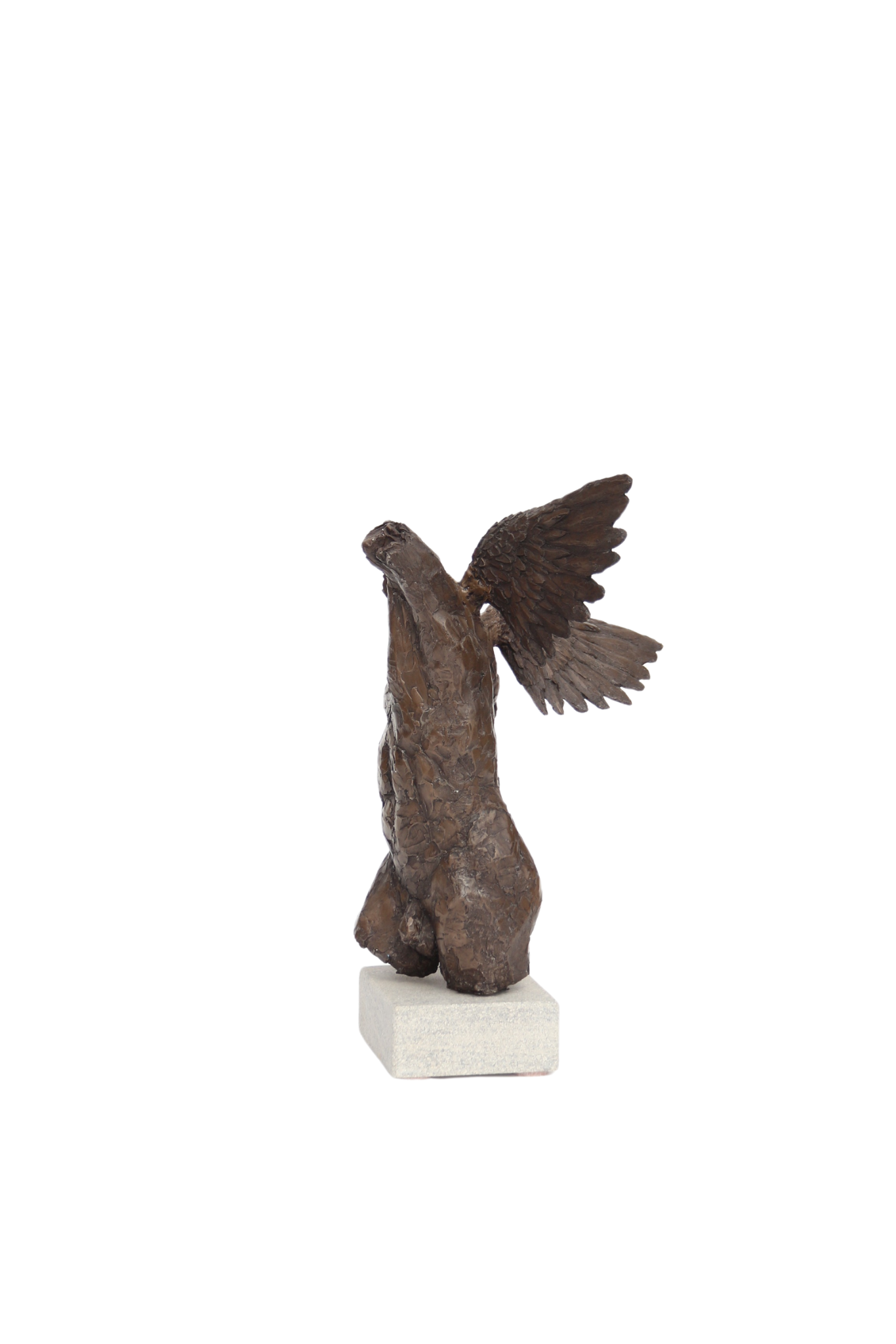 Ian Wolter - Male Torso with Wings
