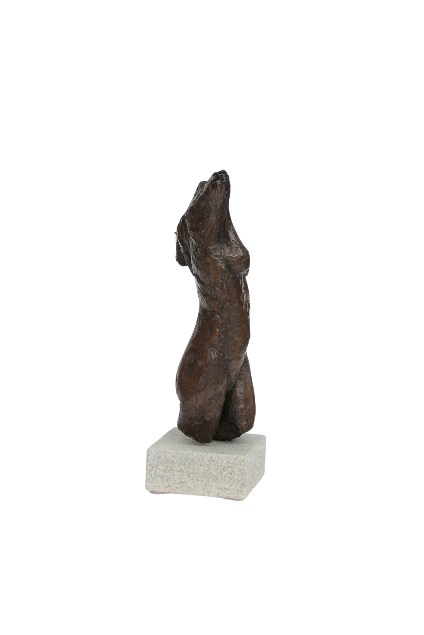 Ian Wolter - Female Torso