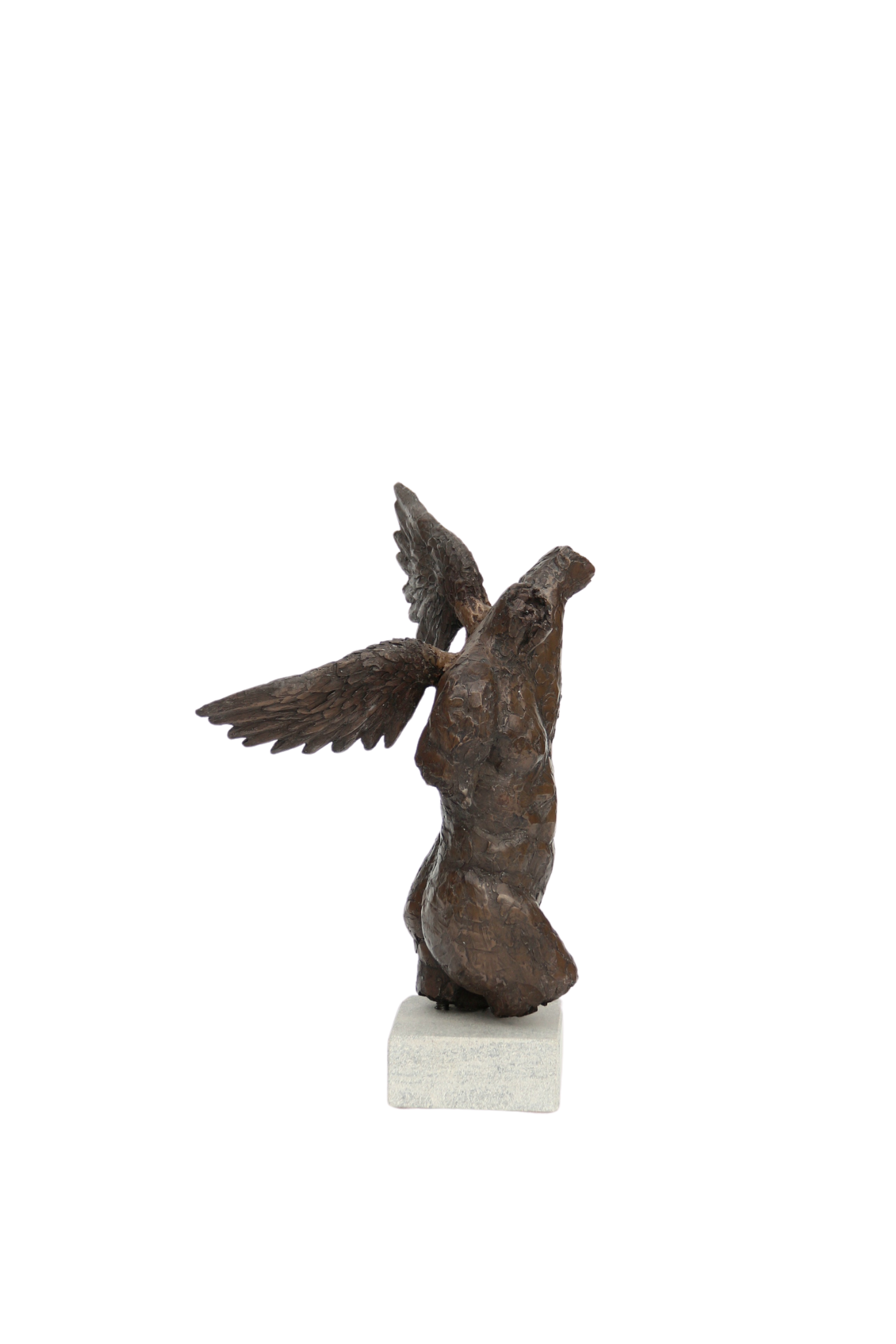 Ian Wolter - Male Torso with Wings