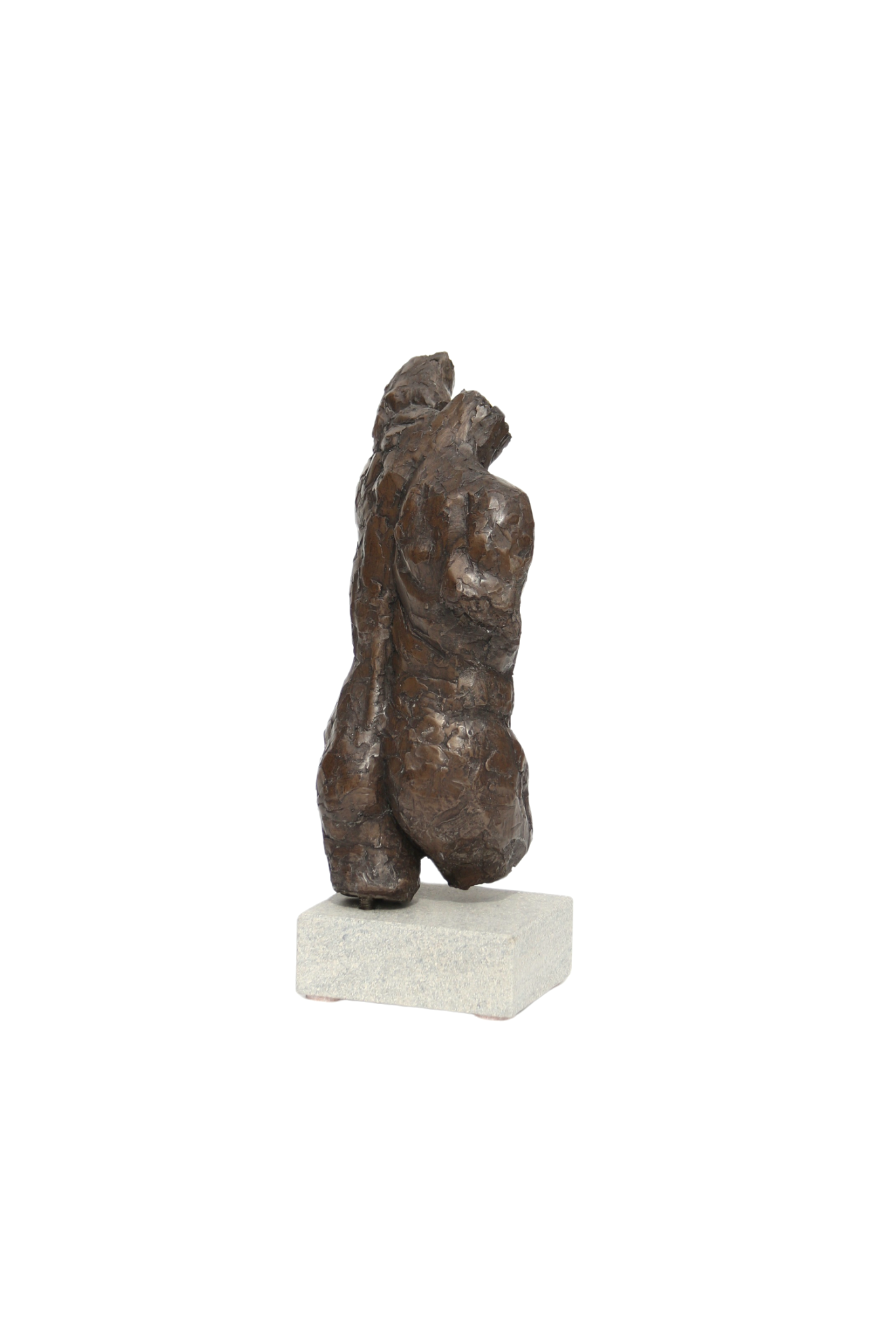 Ian Wolter - Male Torso