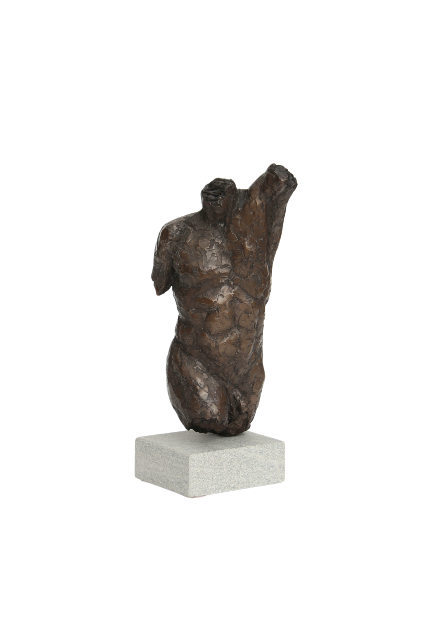 Ian Wolter - Male Torso