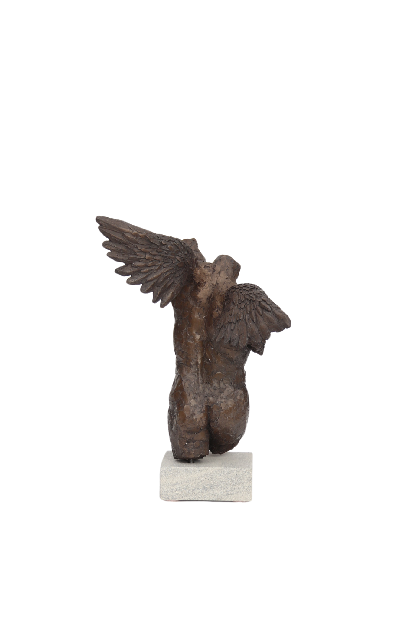 Ian Wolter - Male Torso with Wings